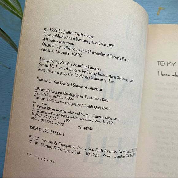 Hispanic Heritage 90s VTG Paperback Book: The Latin Deli by Judith Ortiz Cofer - Picture 4 of 7